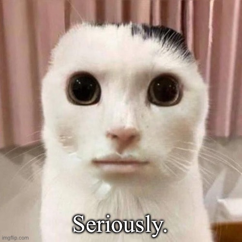 My honest reaction | Seriously. | image tagged in my honest reaction | made w/ Imgflip meme maker