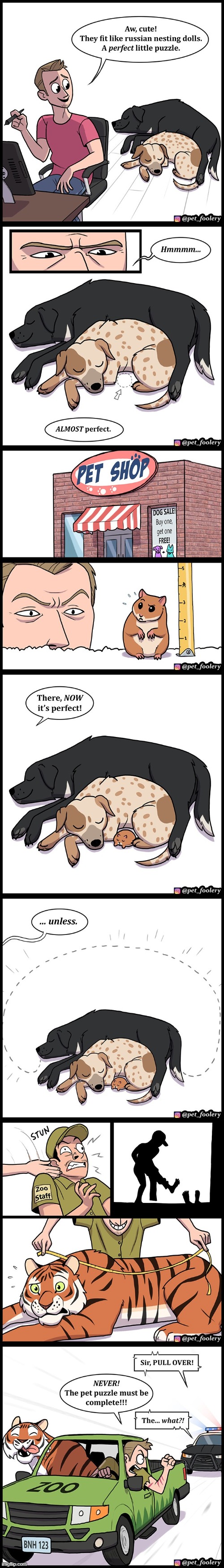 image tagged in dogs,sleeping,hamster,tiger,police,chase | made w/ Imgflip meme maker
