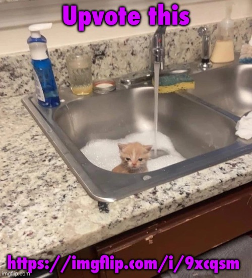 Baf | Upvote this; https://imgflip.com/i/9xcqsm https://imgflip.com/i/9xcqsm https://imgflip.com/i/9xcqsm https://imgflip.com/i/9xcqsm https://imgflip.com/i/9xcqsm | image tagged in baf | made w/ Imgflip meme maker