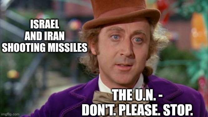 The U.N. could care less | ISRAEL AND IRAN SHOOTING MISSILES; THE U.N. -
DON'T. PLEASE. STOP. | image tagged in willy wonka,leftists,liberals,democrats,iran | made w/ Imgflip meme maker