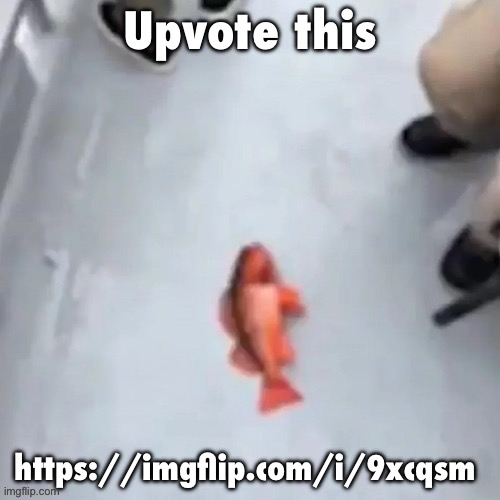 Jimmy here fish | Upvote this; https://imgflip.com/i/9xcqsm | image tagged in jimmy here fish | made w/ Imgflip meme maker