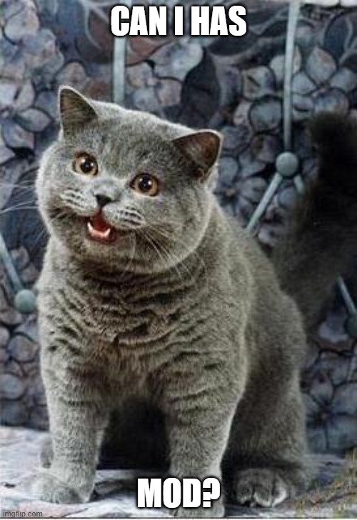 Plz | CAN I HAS; MOD? | image tagged in i can has cheezburger cat | made w/ Imgflip meme maker
