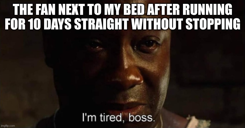 rip fan | THE FAN NEXT TO MY BED AFTER RUNNING FOR 10 DAYS STRAIGHT WITHOUT STOPPING | image tagged in i'm tired boss | made w/ Imgflip meme maker
