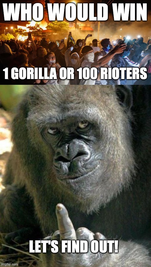 100 Rioters V 1 Gorilla | WHO WOULD WIN; 1 GORILLA OR 100 RIOTERS; LET'S FIND OUT! | image tagged in riotersnodistancing,gorilla middle finger | made w/ Imgflip meme maker