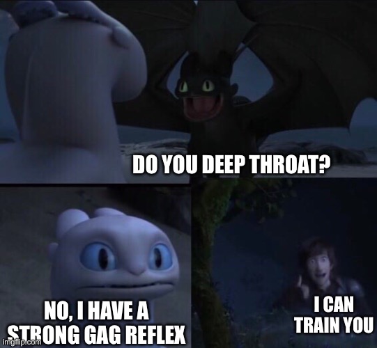 How to train your dragon 3 | DO YOU DEEP THROAT? I CAN TRAIN YOU; NO, I HAVE A STRONG GAG REFLEX | image tagged in how to train your dragon 3 | made w/ Imgflip meme maker