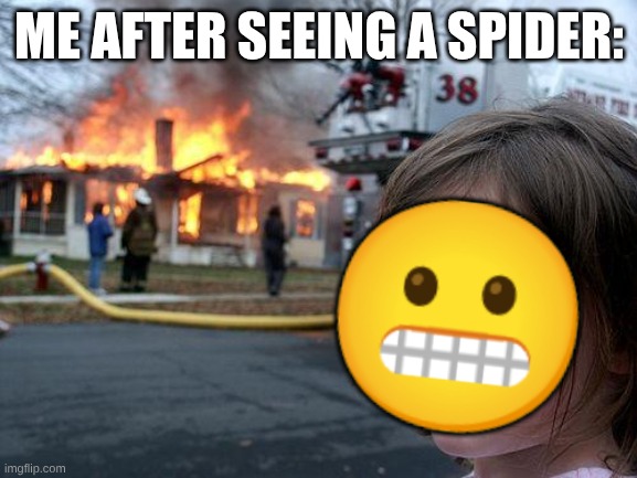 Disaster Girl | ME AFTER SEEING A SPIDER:; 😬 | image tagged in memes,disaster girl | made w/ Imgflip meme maker