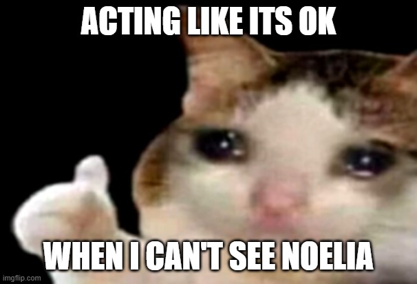 Sad cat thumbs up | ACTING LIKE ITS OK; WHEN I CAN'T SEE NOELIA | image tagged in sad cat thumbs up | made w/ Imgflip meme maker