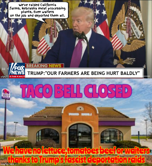 Trump targets Tacos | image tagged in trump targets tacos,taco man,taco bell,farm workers,meat plant workers,the dictaor is naked | made w/ Imgflip meme maker