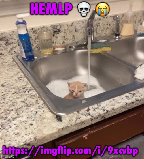 Baf | HEMLP 💀 😭; https://imgflip.com/i/9xcvbp | image tagged in baf | made w/ Imgflip meme maker