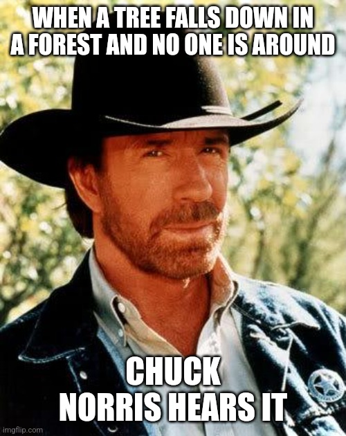 Chuck Norris | WHEN A TREE FALLS DOWN IN A FOREST AND NO ONE IS AROUND; CHUCK NORRIS HEARS IT | image tagged in memes,chuck norris | made w/ Imgflip meme maker