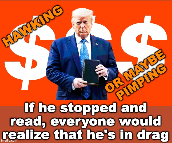 trump bible salesman | HAWKING OR MAYBE
PIMPING If he stopped and read, everyone would realize that he's in drag | image tagged in trump bible salesman | made w/ Imgflip meme maker