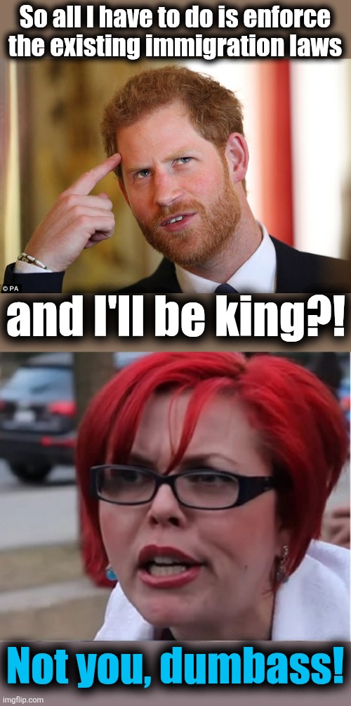 Only applies to Trump | So all I have to do is enforce
the existing immigration laws; and I'll be king?! Not you, dumbass! | image tagged in big red feminist pun,memes,prince harry,immigration laws,king,trump derangement syndrome | made w/ Imgflip meme maker