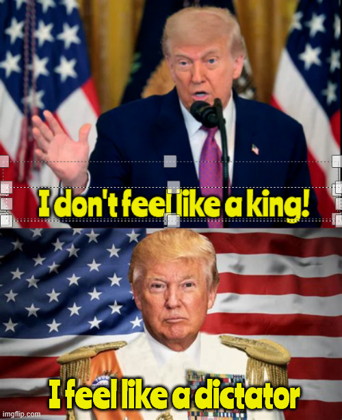 I don't feel like a king | I feel like a dictator | image tagged in i don't feel like a king,feels like a fascist,agolf shitler,maga monarch,dump trump,no more presidents day | made w/ Imgflip meme maker