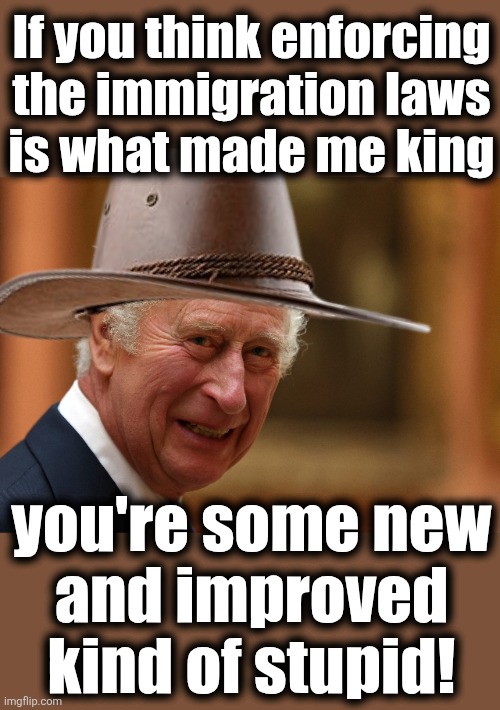 What libs believe | If you think enforcing
the immigration laws
is what made me king; you're some new
and improved
kind of stupid! | image tagged in memes,charles iii,immigration laws,king,democrats,some new and improved kind of stupid | made w/ Imgflip meme maker