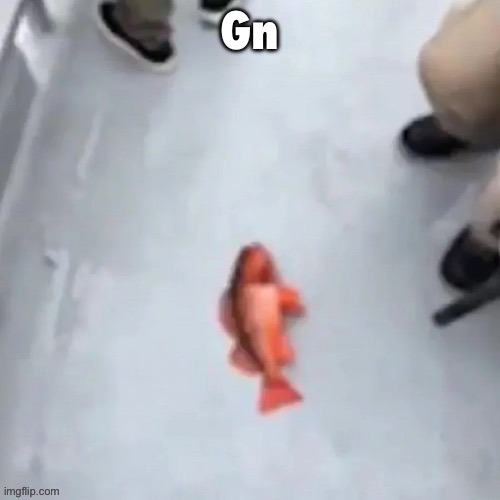 Jimmy here fish | Gn | image tagged in jimmy here fish | made w/ Imgflip meme maker
