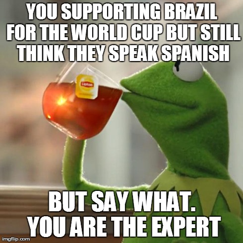 But That's None Of My Business Meme | YOU SUPPORTING BRAZIL FOR THE WORLD CUP BUT STILL THINK THEY SPEAK SPANISH BUT SAY WHAT. YOU ARE THE EXPERT | image tagged in memes,kermit the frog | made w/ Imgflip meme maker
