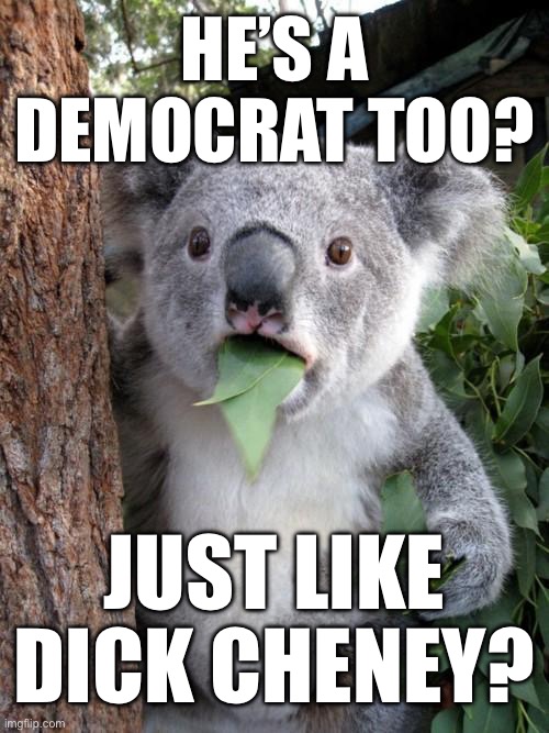 Surprised Koala Meme | HE’S A DEMOCRAT TOO? JUST LIKE DICK CHENEY? | image tagged in memes,surprised koala | made w/ Imgflip meme maker