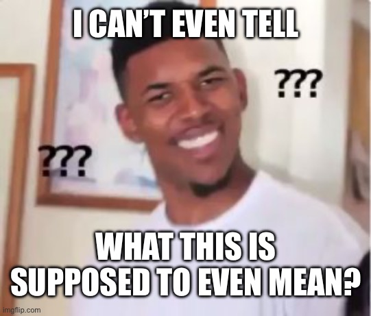 Nick Young | I CAN’T EVEN TELL WHAT THIS IS SUPPOSED TO EVEN MEAN? | image tagged in nick young | made w/ Imgflip meme maker