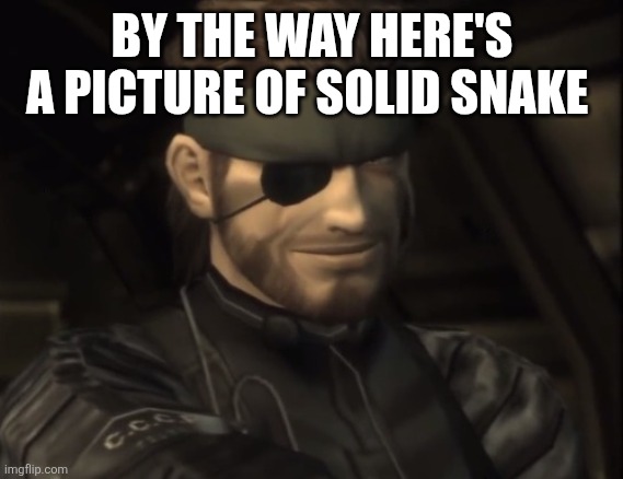 Big Boss | BY THE WAY HERE'S A PICTURE OF SOLID SNAKE | image tagged in big boss | made w/ Imgflip meme maker