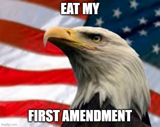 Murica Patriotic Eagle | EAT MY FIRST AMENDMENT | image tagged in murica patriotic eagle | made w/ Imgflip meme maker