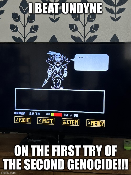 WOOOOO! | I BEAT UNDYNE; ON THE FIRST TRY OF THE SECOND GENOCIDE!!! | image tagged in undertale genocide | made w/ Imgflip meme maker