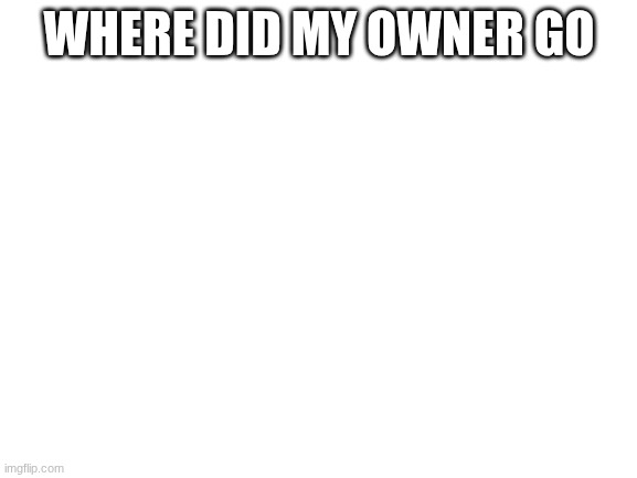 Look at this | WHERE DID MY OWNER GO | made w/ Imgflip meme maker