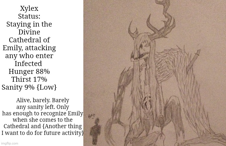 Well I didn't write any Bio for him so here y'all go {Also hes in stage 5} | Xylex
Status: Staying in the Divine Cathedral of Emily, attacking any who enter
Infected 
Hunger 88%
Thirst 17%
Sanity 9% {Low}; Alive, barely. Barely any sanity left. Only has enough to recognize Emily when she comes to the Cathedral and {Another thing I want to do for future activity} | image tagged in blank white template | made w/ Imgflip meme maker