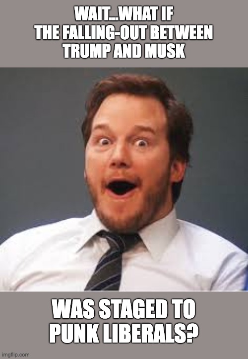 Surprised Andy | WAIT...WHAT IF
THE FALLING-OUT BETWEEN
TRUMP AND MUSK; WAS STAGED TO
PUNK LIBERALS? | image tagged in surprised andy | made w/ Imgflip meme maker