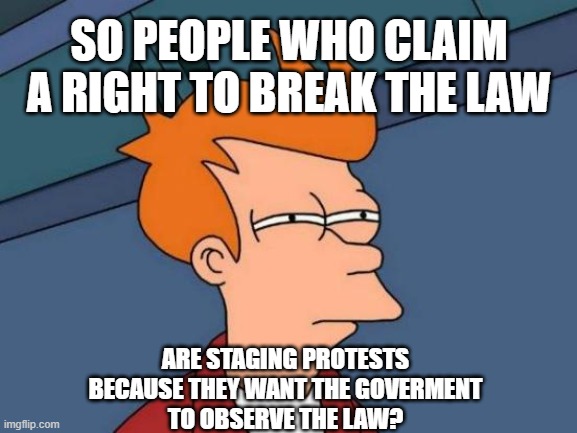 the usual liberal non-logic fueled by anti-American and Cartel $$$ | SO PEOPLE WHO CLAIM
A RIGHT TO BREAK THE LAW; ARE STAGING PROTESTS
BECAUSE THEY WANT THE GOVERMENT
TO OBSERVE THE LAW? | image tagged in memes,futurama fry | made w/ Imgflip meme maker