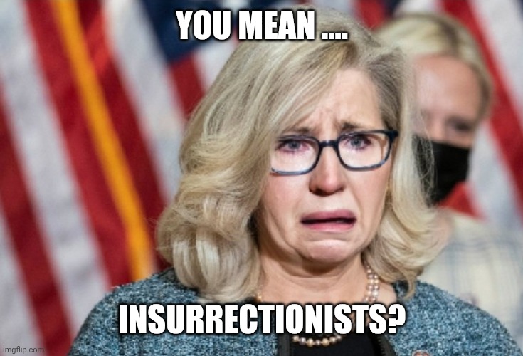 Liz Cheney | YOU MEAN .... INSURRECTIONISTS? | image tagged in liz cheney | made w/ Imgflip meme maker