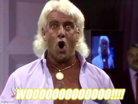 WOOOOOOOOOOOOO!!!! | image tagged in ric flair friday | made w/ Imgflip meme maker