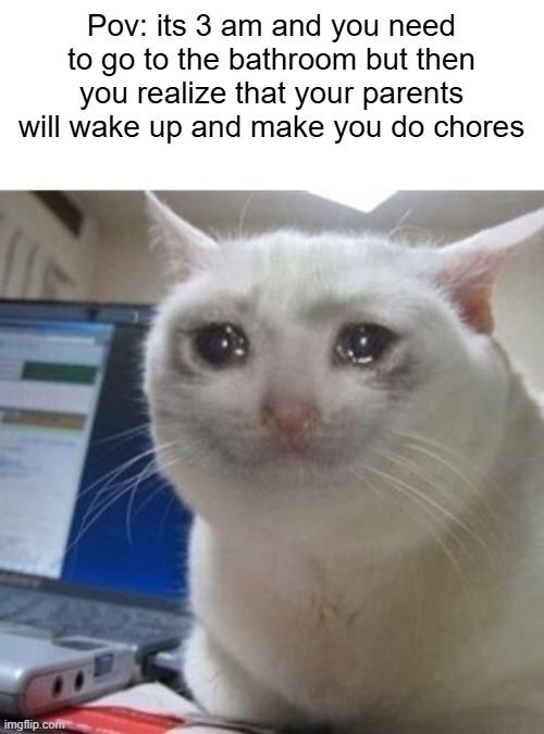 3am moment | Pov: its 3 am and you need to go to the bathroom but then you realize that your parents will wake up and make you do chores | image tagged in crying cat,sad but true,memes | made w/ Imgflip meme maker
