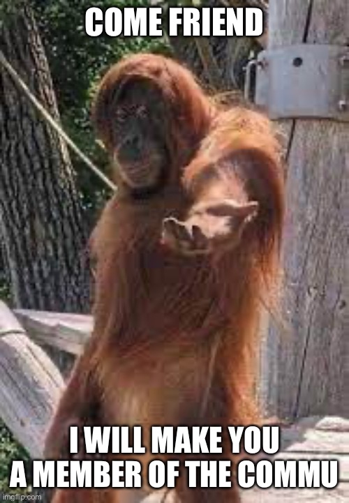 Savior monke | COME FRIEND I WILL MAKE YOU A MEMBER OF THE COMMUNITY | image tagged in savior monke | made w/ Imgflip meme maker