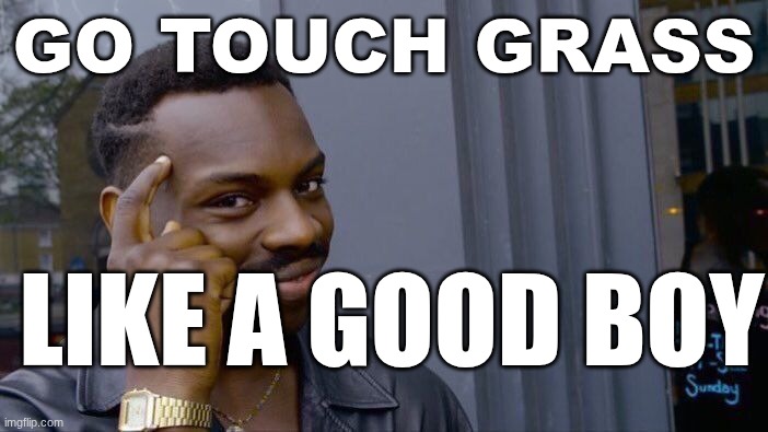 Roll Safe Think About It | GO TOUCH GRASS; LIKE A GOOD BOY | image tagged in memes,roll safe think about it | made w/ Imgflip meme maker