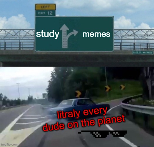 Left Exit 12 Off Ramp Meme | study; memes; litraly every dude on the planet | image tagged in memes,left exit 12 off ramp | made w/ Imgflip meme maker