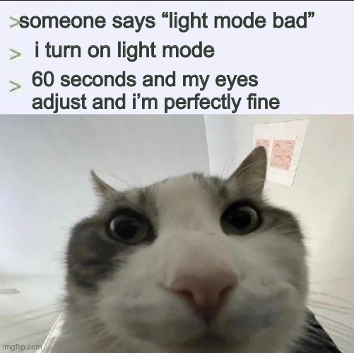 Cat looks inside | someone says “light mode bad”; i turn on light mode; 60 seconds and my eyes adjust and i’m perfectly fine | image tagged in cat looks inside | made w/ Imgflip meme maker