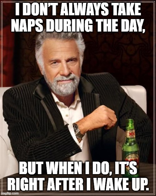 random meme | I DON’T ALWAYS TAKE NAPS DURING THE DAY, BUT WHEN I DO, IT’S RIGHT AFTER I WAKE UP. | image tagged in memes,the most interesting man in the world | made w/ Imgflip meme maker