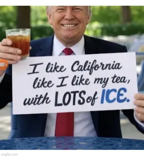 ICE ICE BABY | image tagged in crying democrats,libtard,losers,illegal immigration,finished | made w/ Imgflip meme maker