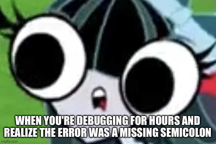 I must pay attention next time | WHEN YOU'RE DEBUGGING FOR HOURS AND REALIZE THE ERROR WAS A MISSING SEMICOLON | image tagged in one fly 4,error,computer,my eyes,confused | made w/ Imgflip meme maker