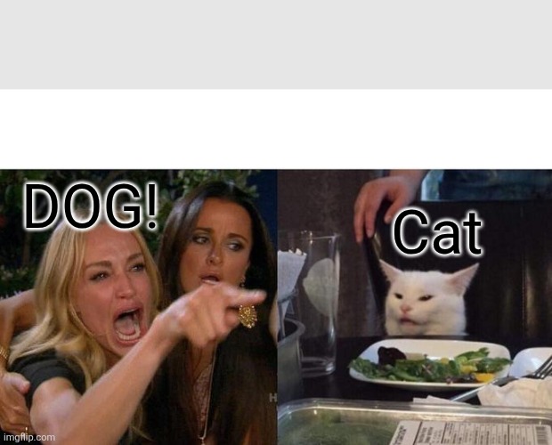 Woman Yelling At Cat | DOG! Cat | image tagged in memes,woman yelling at cat | made w/ Imgflip meme maker
