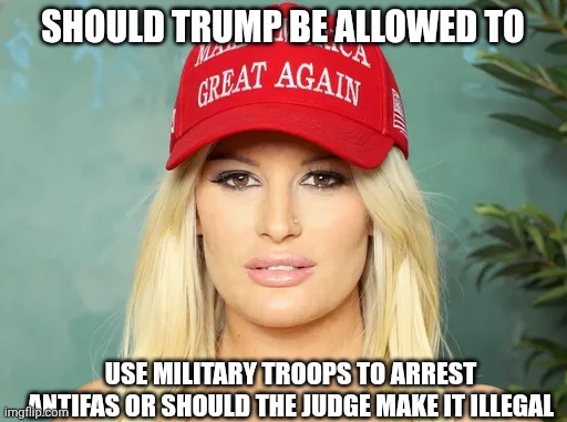 Julie cash maga meme | SHOULD TRUMP BE ALLOWED TO; USE MILITARY TROOPS TO ARREST ANTIFAS OR SHOULD THE JUDGE MAKE IT ILLEGAL | image tagged in julie cash maga meme | made w/ Imgflip meme maker