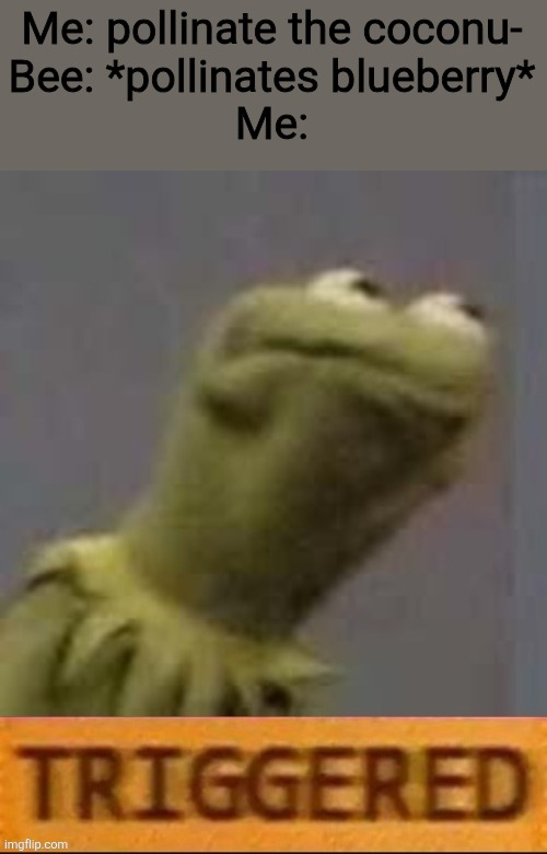 Grow a Garden memes part 2 | Me: pollinate the coconu-
Bee: *pollinates blueberry*
Me: | image tagged in kermit triggered,grow a garden,memes,funny,roblox,relatable | made w/ Imgflip meme maker
