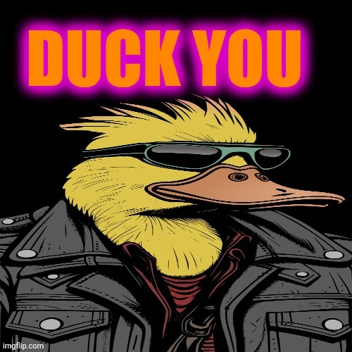 Biker Duck | image tagged in duck,leather,sunglasses | made w/ Imgflip meme maker