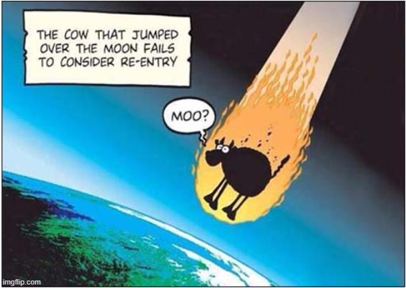 She Didn't Think It Through ! | image tagged in nursery rhymes,cow,moon,re-entry | made w/ Imgflip meme maker