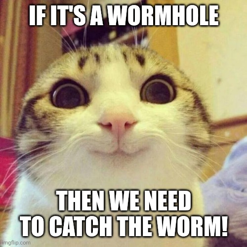 Smiling Cat Meme | IF IT'S A WORMHOLE THEN WE NEED TO CATCH THE WORM! | image tagged in memes,smiling cat | made w/ Imgflip meme maker