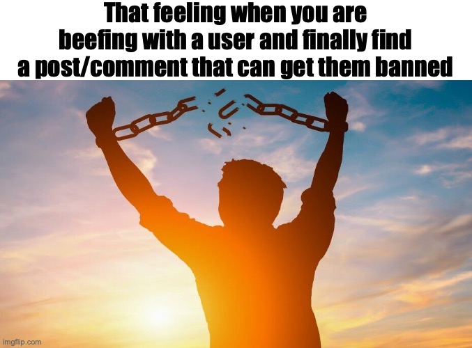My current situation with TOBA (I spotted a comment where he said the hard r n-word) | That feeling when you are beefing with a user and finally find a post/comment that can get them banned | image tagged in breaking chains | made w/ Imgflip meme maker