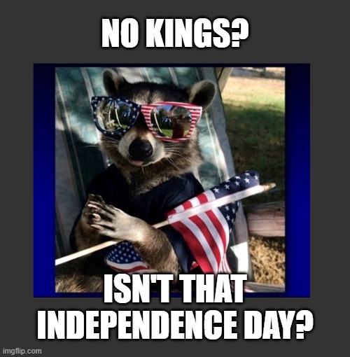 We need the funders of these shenanigans perp-walked | NO KINGS? ISN'T THAT INDEPENDENCE DAY? | image tagged in politics,american politics,no kings,maga,trump protestors | made w/ Imgflip meme maker