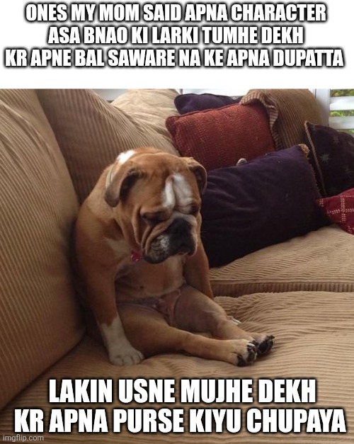 bulldogsad | ONES MY MOM SAID APNA CHARACTER ASA BNAO KI LARKI TUMHE DEKH KR APNE BAL SAWARE NA KE APNA DUPATTA; LAKIN USNE MUJHE DEKH KR APNA PURSE KIYU CHUPAYA | image tagged in bulldogsad | made w/ Imgflip meme maker