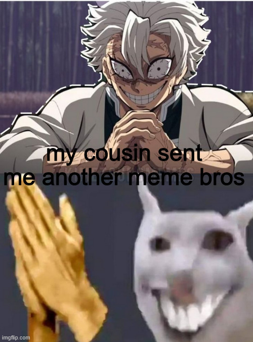 sanemi what. | my cousin sent me another meme bros | image tagged in demon slayer,anime | made w/ Imgflip meme maker