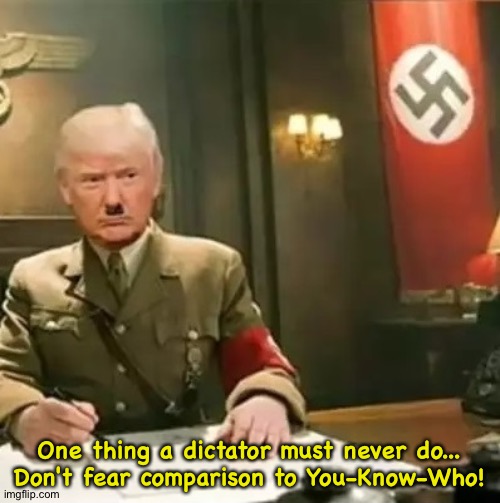 In for a penny, in for a pound | One thing a dictator must never do...

Don't fear comparison to You-Know-Who! | image tagged in donald trump hitler | made w/ Imgflip meme maker
